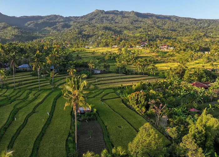 Kubu Sambangan Bali ホステル